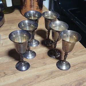 Set of Six Silver Small Sherry Goblets~Chalise~Silver~Brass